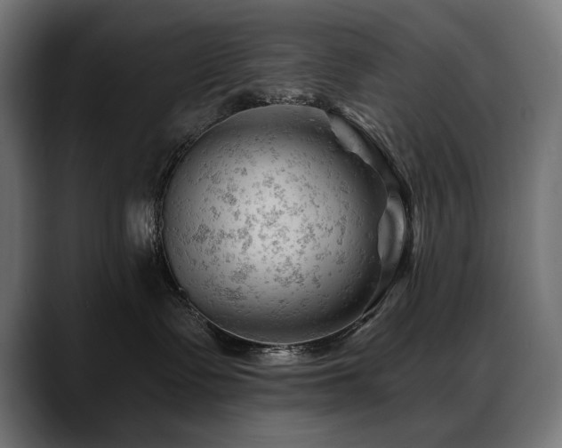 X0000088650335200705251507