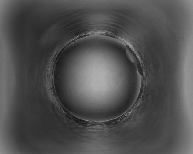 X0000088650337200705251506