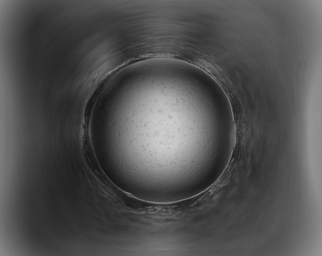 X0000088650338200705251506