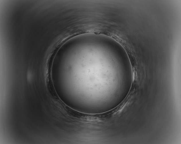 X0000088650339200705251506