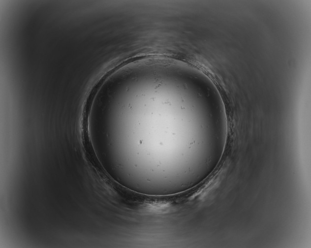 X0000088650340200705251506