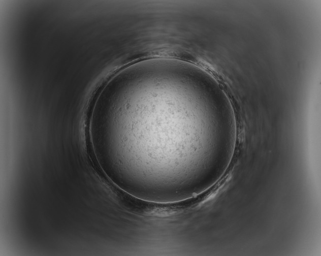 X0000088650341200705251506