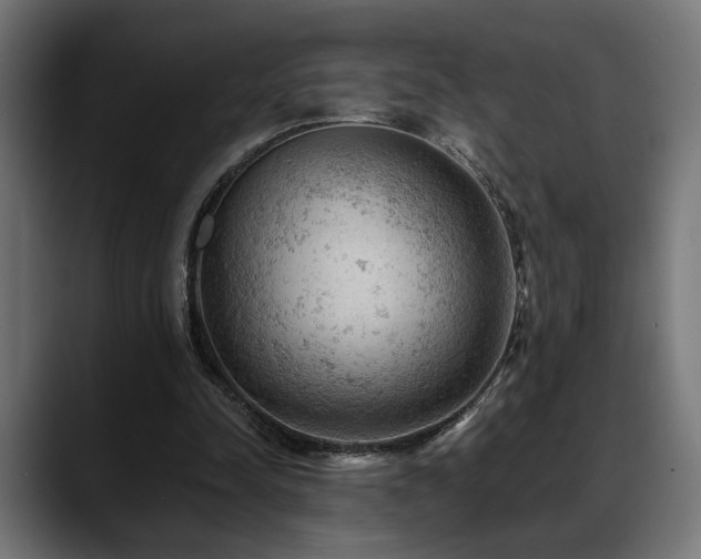X0000088650342200705251506