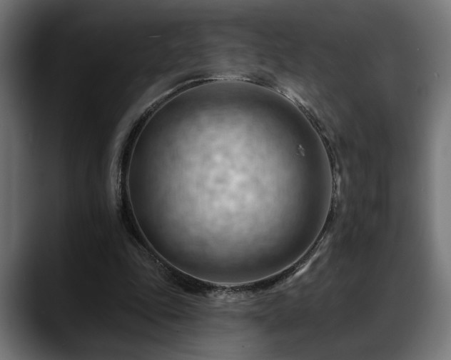 X0000088650343200705251506