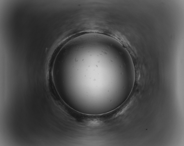 X0000088650344200705251506