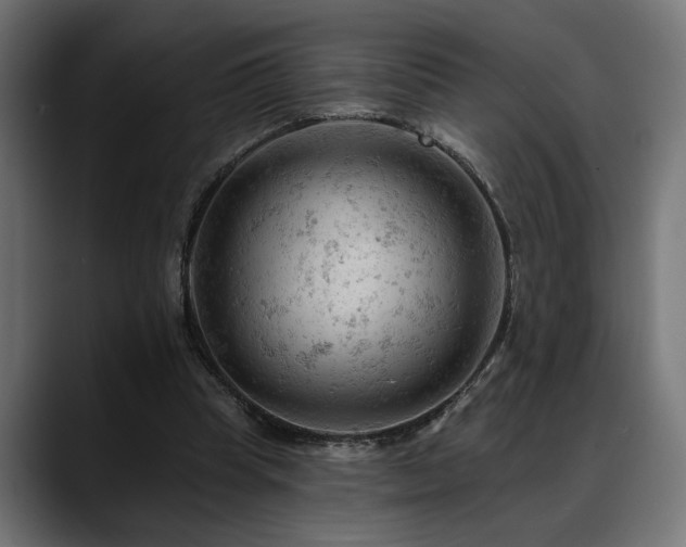 X0000088650345200705251506