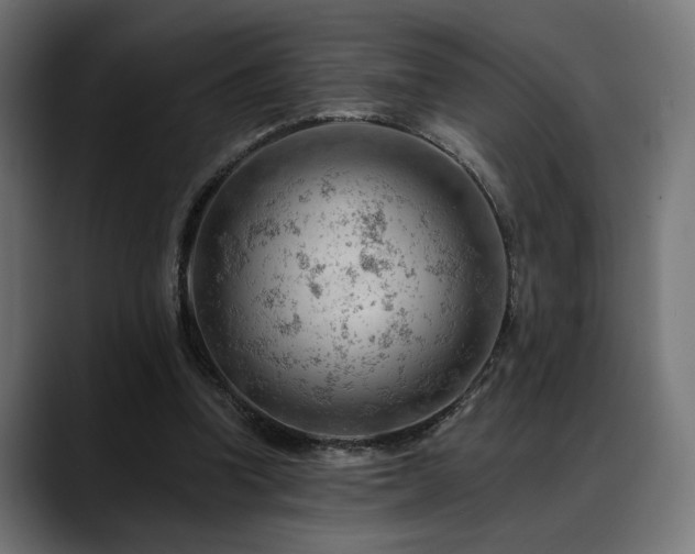 X0000088650346200705251506