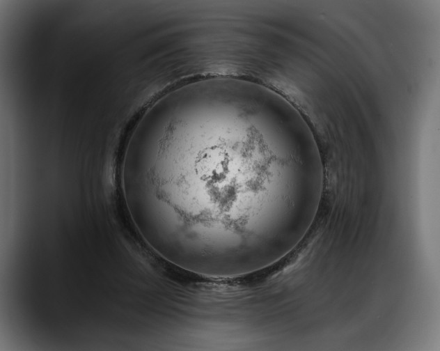 X0000088650347200705251506
