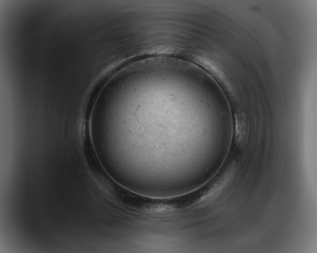 X0000088650348200705251506
