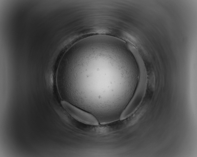 X0000088650350200705251506