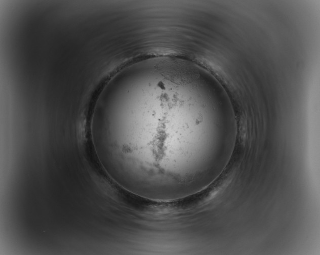 X0000088650351200705251506