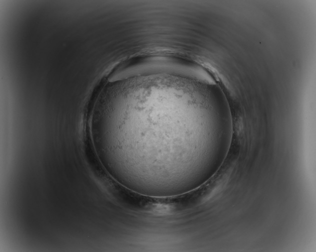 X0000088650352200705251506