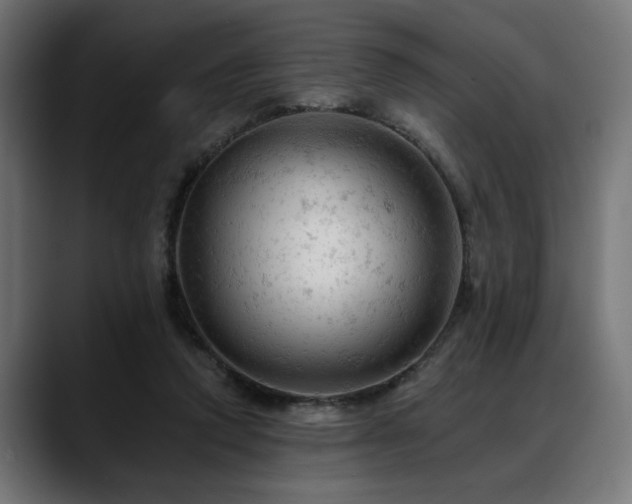 X0000088650354200705251506