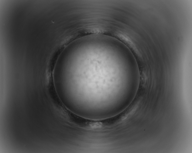 X0000088650355200705251506