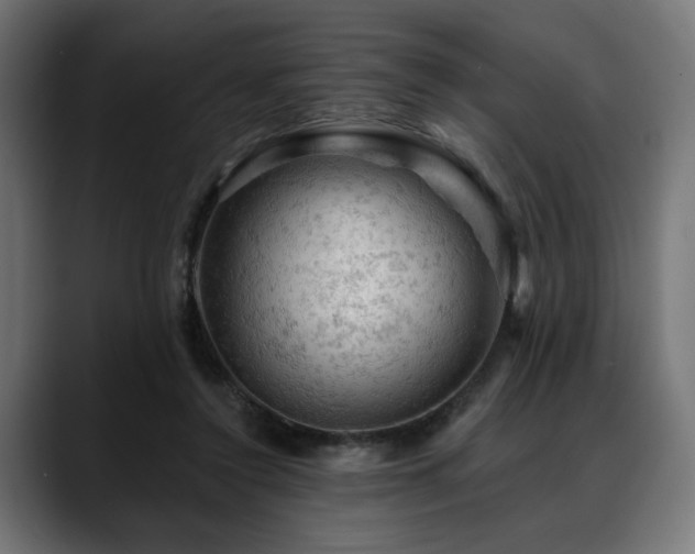 X0000088650356200705251506