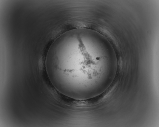 X0000088650359200705251506