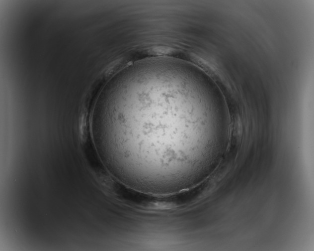 X0000088650360200705251506
