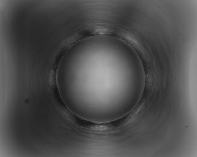 X0000088650361200705251506