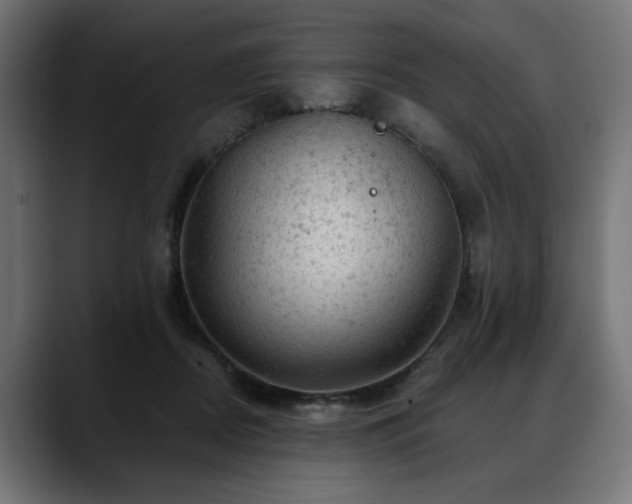 X0000088650362200705251506