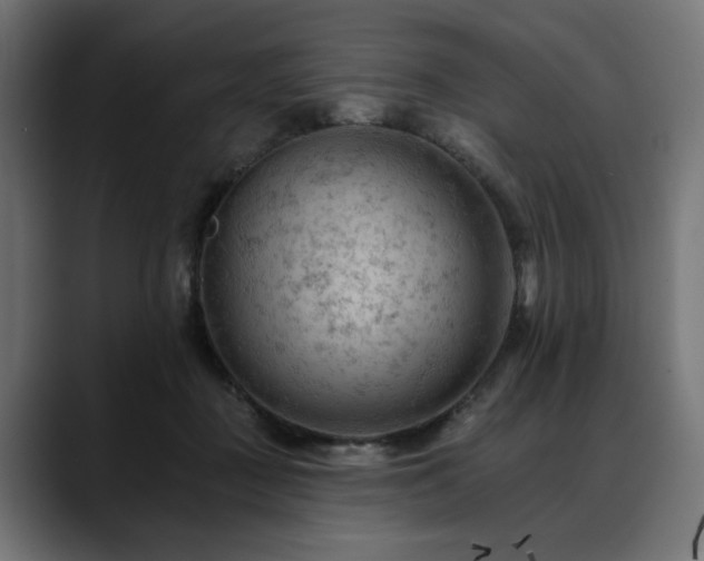 X0000088650363200705251506