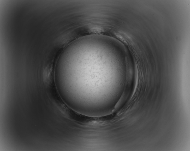 X0000088650364200705251506
