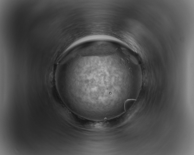 X0000088650365200705251506