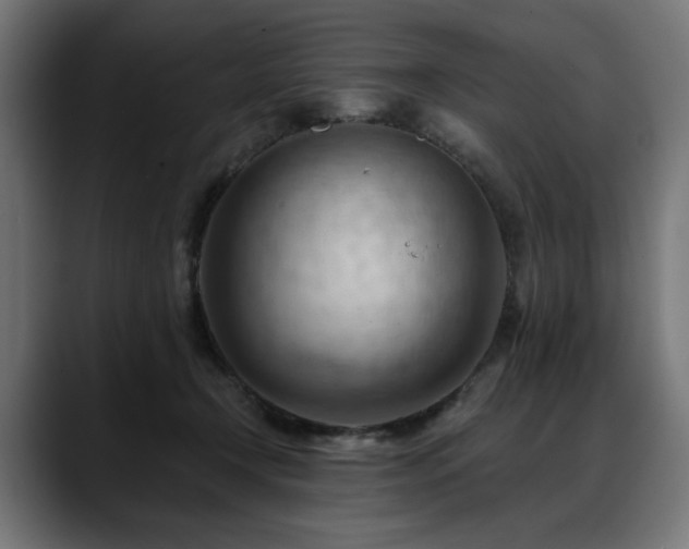 X0000088650366200705251506