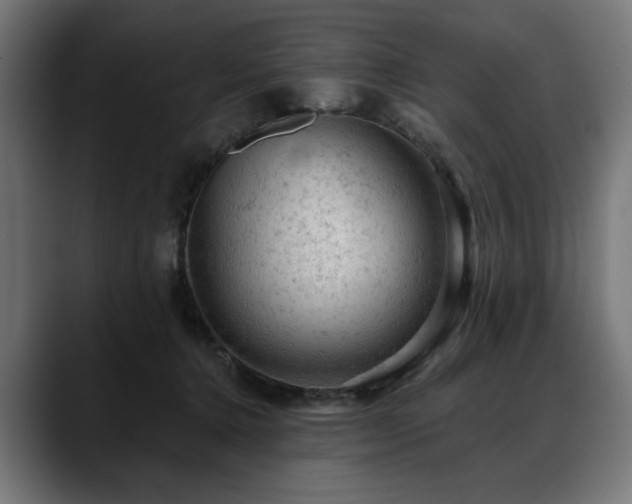 X0000088650368200705251506