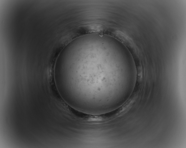 X0000088650369200705251506