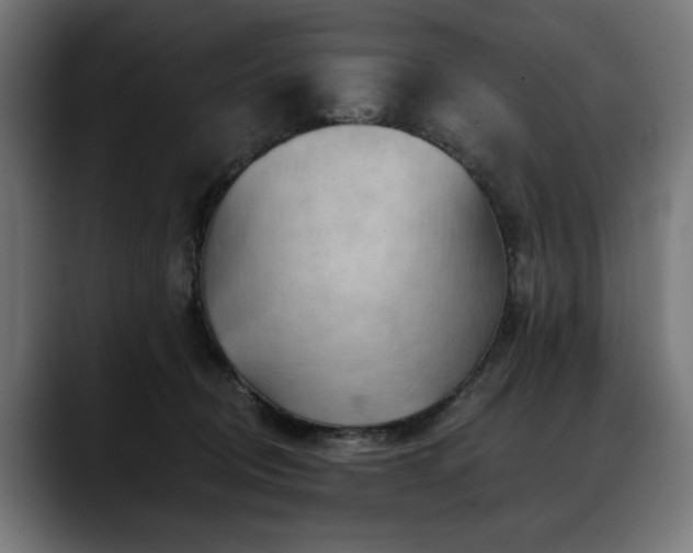 X0000088650370200705251506