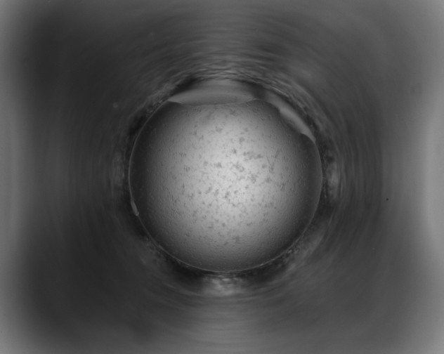 X0000088650372200705251507