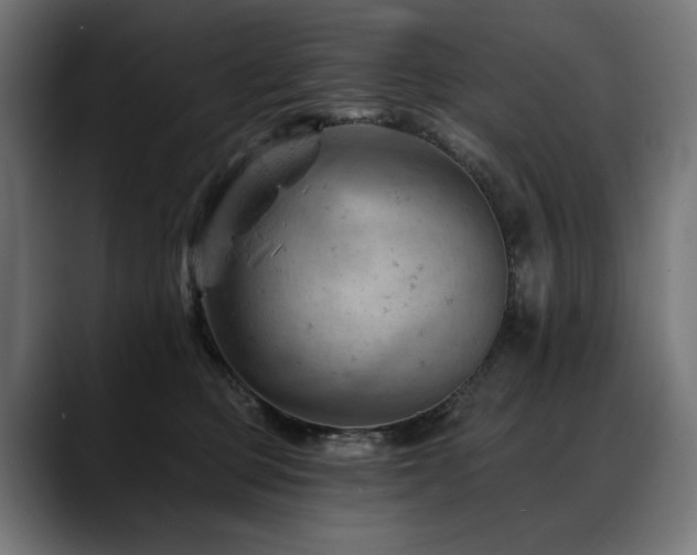X0000088650373200705251507
