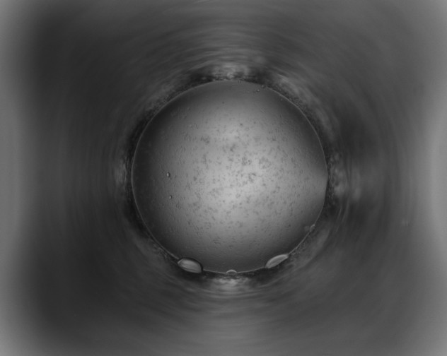 X0000088650375200705251507