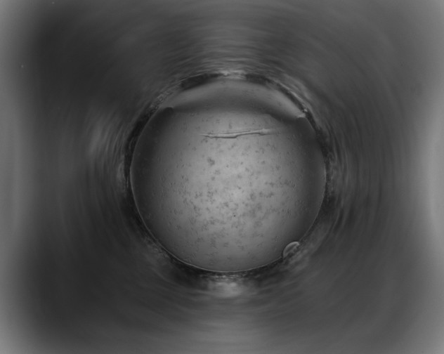 X0000088650377200705251507
