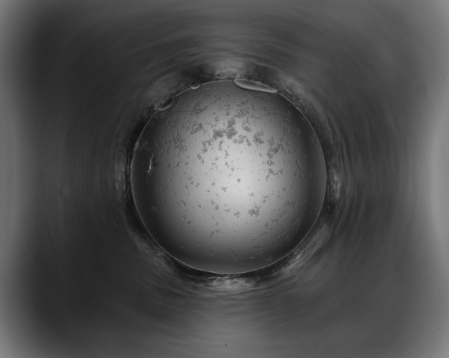 X0000088650379200705251507
