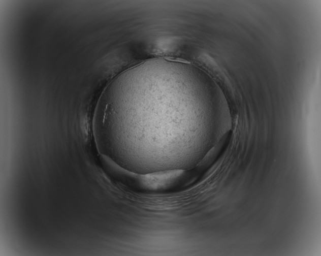 X0000088650380200705251507