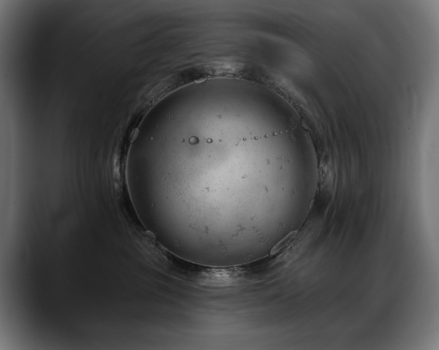 X0000088650381200705251507