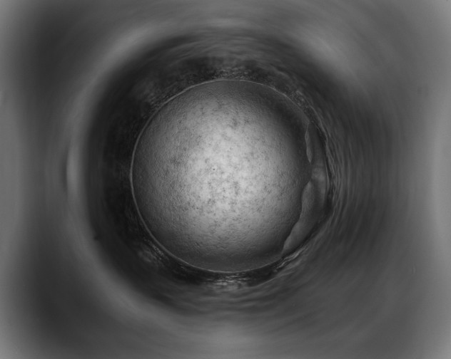X0000088650383200705251507