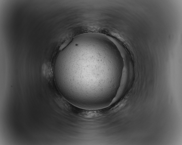 X0000088650384200705251507