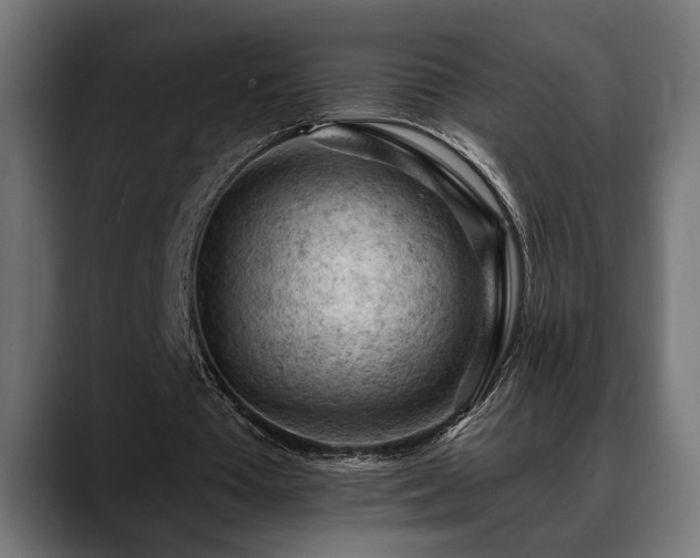 X0000088650385200705251506