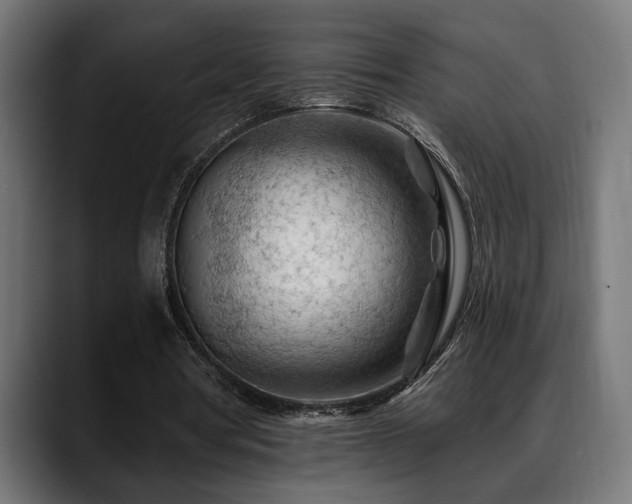 X0000088650386200705251506