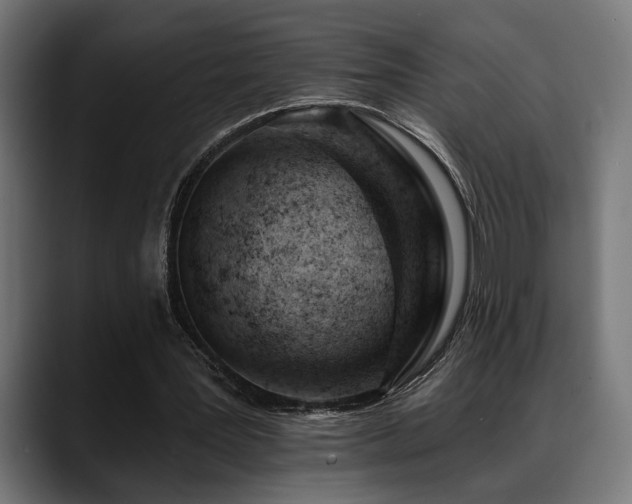 X0000088650387200705251506