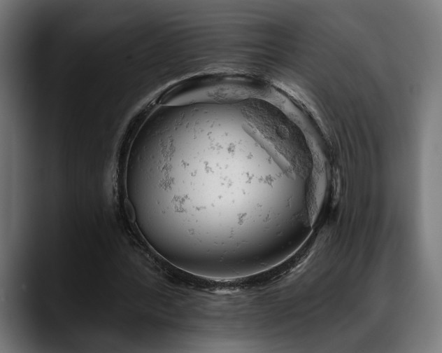 X0000088650388200705251506