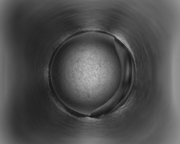 X0000088650389200705251506