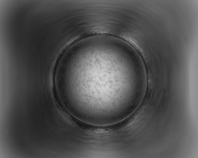 X0000088650390200705251506