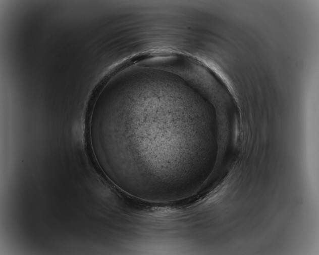 X0000088650391200705251506