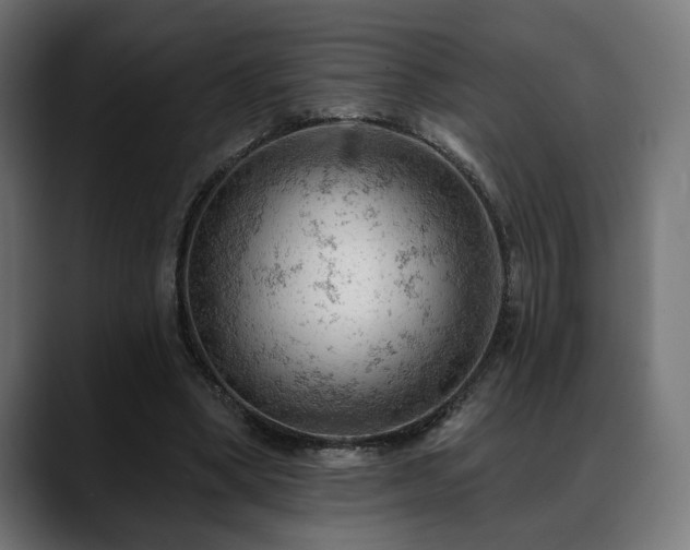 X0000088650394200705251506