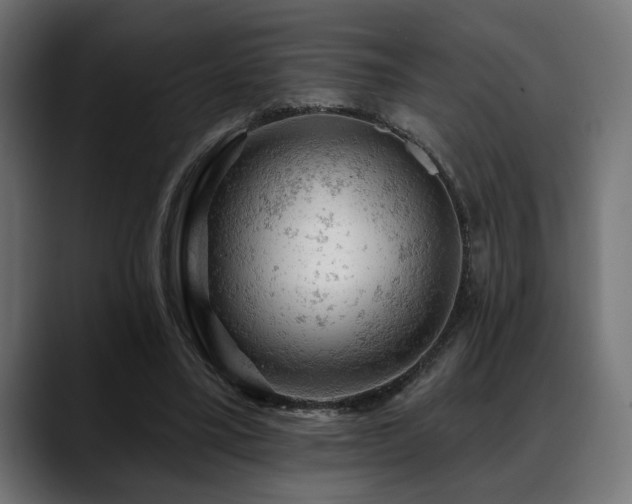 X0000088650395200705251506