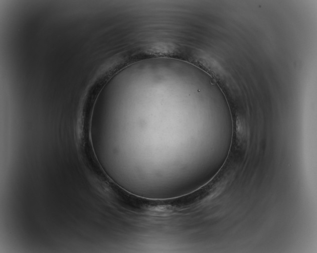 X0000088650396200705251506