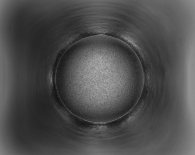 X0000088650398200705251506